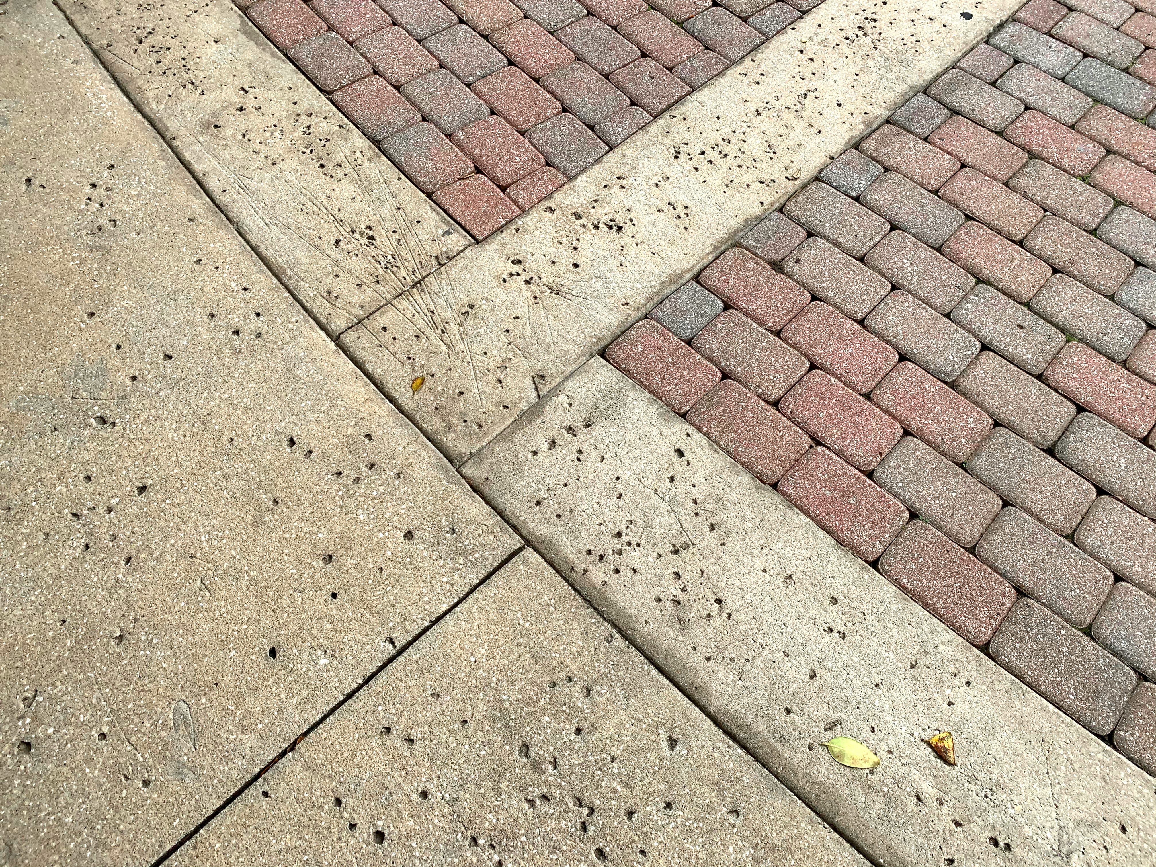 A lowered curb cut at a sidewalk corner - designed for wheelchair users, it benefits strollers, bikes, and luggage carts too