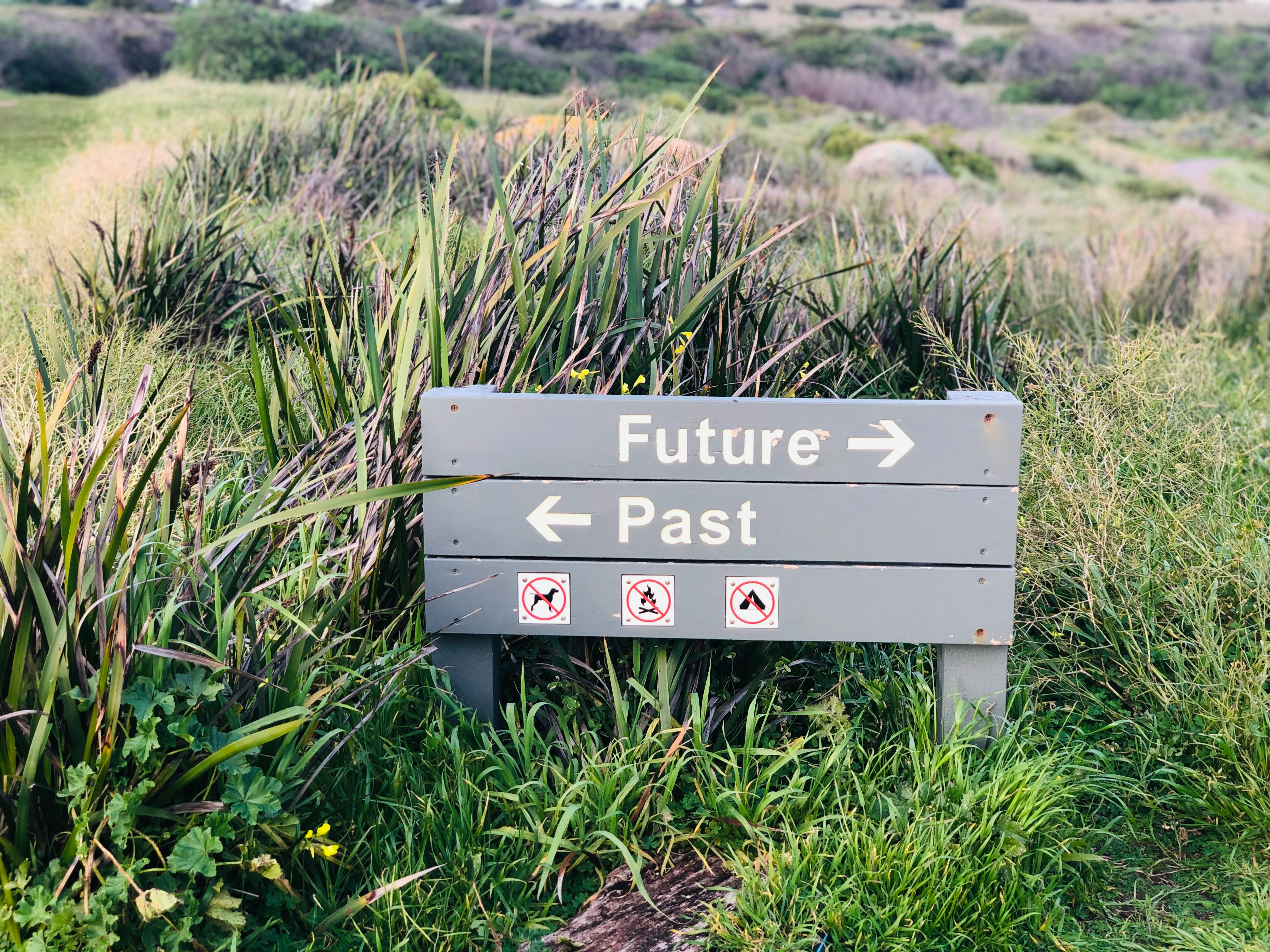 Wooden signpost standing in wide green field under blue sky. Directional signpost symbolically represents learning journey and roadmap, indicating beginning of systematic learning path